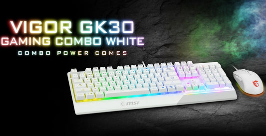 Vigor GK30 gaming combo